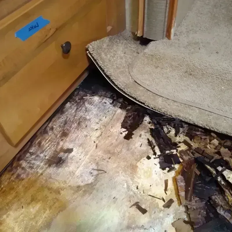 Wood Floor Water Damage in Riverside, OH